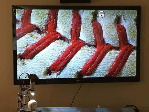 اوبتي- تيكسكوب مجهر HDMI من او تي-ام، كاميرا - تصوير رقمي حقيقي HD بدقة 1920x1080p - تكبير بصري 300x، (+4X رقمي) - رائع in Kuwait