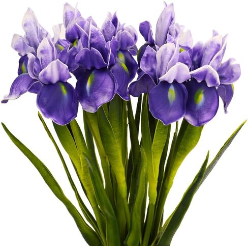 Fermus 6 عبوات من زهرة السوسن الاصطناعية الأرجوانية ذات الملمس الحقيقي وساق طويلة اصطناعية نابضة بالحياة نباتات السوسن السيبيرية ترتيبات زهور ذات مظهر حقيقي لتزيين مكتب المنزل والزفاف (أرجواني) in Kuwait