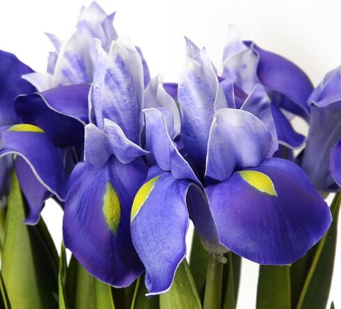 Fermus 6 عبوات من زهرة السوسن الاصطناعية الأرجوانية ذات الملمس الحقيقي وساق طويلة اصطناعية نابضة بالحياة نباتات السوسن السيبيرية ترتيبات زهور ذات مظهر حقيقي لتزيين مكتب المنزل والزفاف (أرجواني) in Kuwait