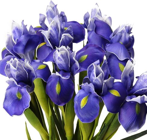 Fermus 6 عبوات من زهرة السوسن الاصطناعية الأرجوانية ذات الملمس الحقيقي وساق طويلة اصطناعية نابضة بالحياة نباتات السوسن السيبيرية ترتيبات زهور ذات مظهر حقيقي لتزيين مكتب المنزل والزفاف (أرجواني) in Kuwait