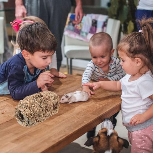 STOBOK Gerbil Toys Hamster Grass Tunnel Hideout Straw Tunnel Woven Guinea Pigs Hideaway Hamsger House Wicker Grass Pet Straw Hut for Dwarf Rabbits Ferret Mice Rat Hamster House in Saudi Arabia