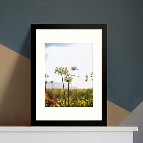 Golden State Art، إطار صورة مقاس 12 × 12 مع حصيرة لإطار حائط معرض الصور المربع مقاس 8 × 8 للوحات مقاس 30 × 30 سم (أسود، عبوة واحدة) in Saudi Arabia