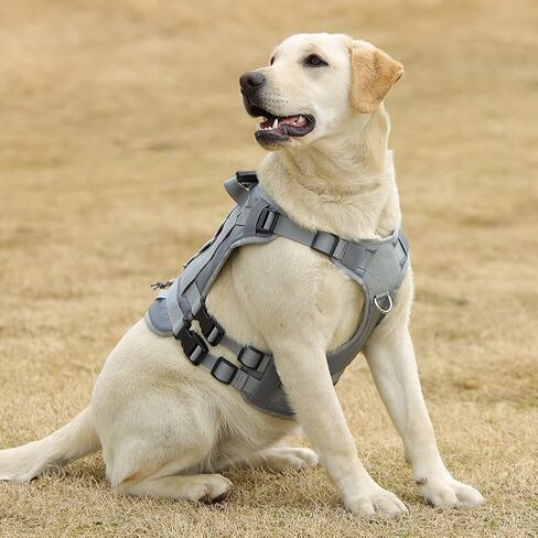 doggiekit تسخير الكلاب التكتيكية للكلاب المتوسطة الكبيرة لا سحب، تسخير الكلب العسكري مع مقبض، سترة الكلب الخدمة مع لوحات مولي وحلقة، تسخير الحيوانات الأليفة قابل للتعديل لتدريب الصيد المشي الأسود in Kuwait