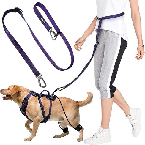 مقود الكلاب التكتيكي شديد التحمل من ANAFNI للكلاب المتوسطة والكبيرة، مقود الكلاب 6 في 1 بدون استخدام اليدين للتدريب، مقود الكلاب بطول 4-7 أقدام، مقود الخصر لتمشية الكلاب، أخضر (أرجواني منتصف الليل) in Kuwait