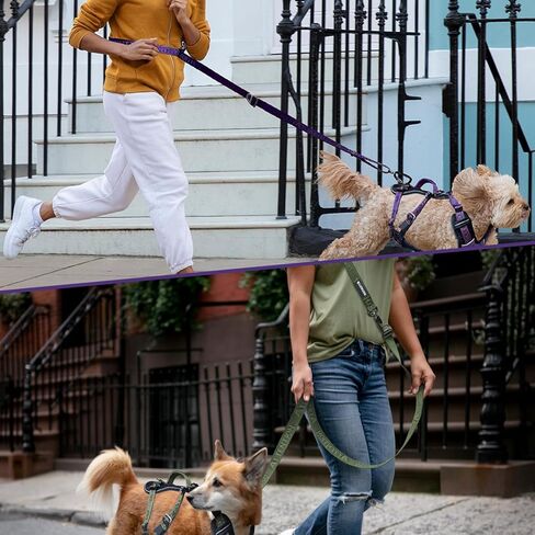 مقود الكلاب التكتيكي شديد التحمل من ANAFNI للكلاب المتوسطة والكبيرة، مقود الكلاب 6 في 1 بدون استخدام اليدين للتدريب، مقود الكلاب بطول 4-7 أقدام، مقود الخصر لتمشية الكلاب، أخضر (أرجواني منتصف الليل) in Kuwait