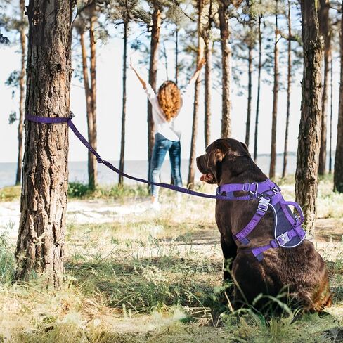 مقود الكلاب التكتيكي شديد التحمل من ANAFNI للكلاب المتوسطة والكبيرة، مقود الكلاب 6 في 1 بدون استخدام اليدين للتدريب، مقود الكلاب بطول 4-7 أقدام، مقود الخصر لتمشية الكلاب، أخضر (أرجواني منتصف الليل) in Kuwait