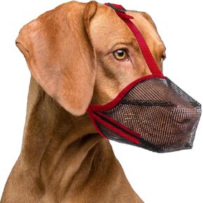 Lepark Dog Muzzle with Mesh Cover Muzzle for Small Medium Large Dogs, Prevent Biting Barking and Licking(S,Red) in Kuwait