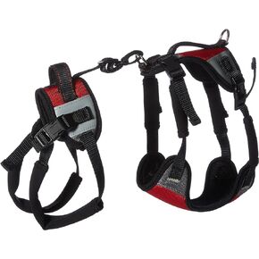 Total Pet Health Lift and Go Dog Lead, Small, Red