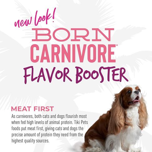 Tiki Dog Born Carnivore Flavor Booster, Salmon Recipe Bisque, Grain Free Meat Based Treat, Meal Topper for All Dog Breeds and All Life Stages, 1.5 oz Pouch, Pack of 12 in Kuwait
