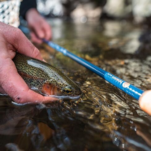 Kita 330 Kit in Kuwait