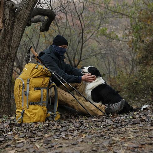 YETO Trekking Poles Collapsible Hiking Poles Lightweight Folding Walking Hiking Sticks Aluminum 7075 with Quick Lock for Hiking Camping Backpacking 2 Pack, Black in Kuwait