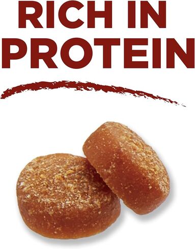 بورينا وان صنع في الولايات المتحدة الأمريكية يعامل تدريب الكلاب، لدغات الغريزة الحقيقية مع لحم الغزال - 20 أوقية. كيس in Kuwait