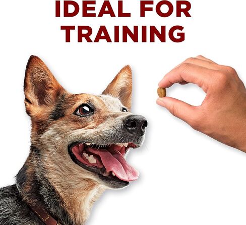 بورينا وان صنع في الولايات المتحدة الأمريكية يعامل تدريب الكلاب، لدغات الغريزة الحقيقية مع لحم الغزال - 20 أوقية. كيس in Kuwait