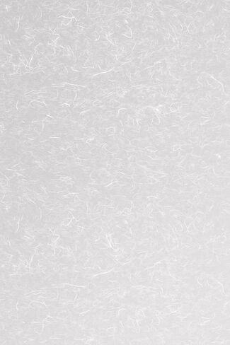 ورق أرز آرتسكيب كبير | نافذة فيلم الخصوصية نمط الزجاج محكم | غير لاصق وحماية من الأشعة فوق البنفسجية | سهل التطبيق وقابل للإزالة | 36 × 72 بوصة | صنع فى أمريكا in Kuwait