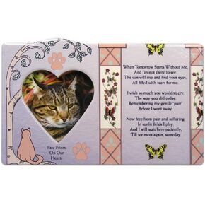 BANBERRY DESIGNS Cat Memorial Picture Frame - When Tomorrow Starts Without Me - in Loving Memory of a Kitty - Cat Sympathy Gift Photo Plaque - Loss of a Furbaby