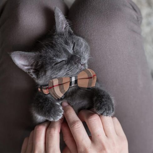 مجموعة اطواق القطط من قطعتين، طوق للحيوانات الاليفة قابل للفصل مع ربطة عنق وجرس لطيف قابل للفصل، ناعم ومريح للقطط الصغيرة وبعض الجراء، قابل للتعديل من 7.87-11 انش in Kuwait