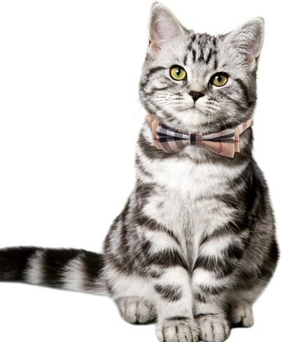 مجموعة اطواق القطط من قطعتين، طوق للحيوانات الاليفة قابل للفصل مع ربطة عنق وجرس لطيف قابل للفصل، ناعم ومريح للقطط الصغيرة وبعض الجراء، قابل للتعديل من 7.87-11 انش in Kuwait