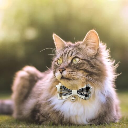 مجموعة اطواق القطط من قطعتين، طوق للحيوانات الاليفة قابل للفصل مع ربطة عنق وجرس لطيف قابل للفصل، ناعم ومريح للقطط الصغيرة وبعض الجراء، قابل للتعديل من 7.87-11 انش in Kuwait