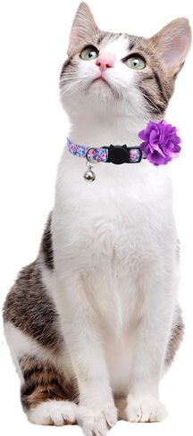 Lamphyface 2 Pack Cat Collar Floral with Bell and Removable Flower Breakaway Adjustable for Cats Kitten in Saudi Arabia