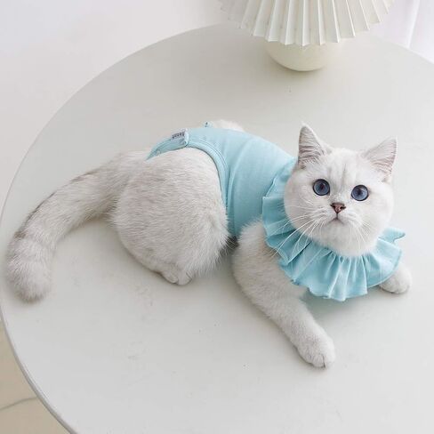 Cat Recovery Suit for Abdominal Wounds and Skin Diseases,Breathable Surgical Recovery Shirt After Surgery Wear Anti Licking Wounds,E-Collar Alternative for Female Cats Kitten(RSC01-blue-s) in Saudi Arabia