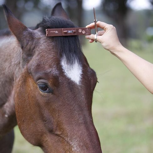 كرياكليب دليل العناية بالحيوانات الأليفة والكلاب والحصان الأصلي in Saudi Arabia