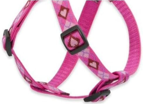 LupinePet Originals 3/4 "Puppy Love 20-30" خطوة في تسخير للكلاب المتوسطة in Saudi Arabia