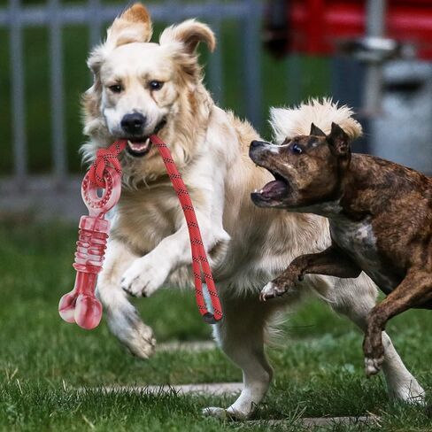 ألعاب الكلاب من بيتيزر للمضغ العدواني، لعبة مضغ للكلاب مع حبل، لعبة شد الحبل التفاعلية، عظم نايلون غير قابل للتدمير تقريبًا، نكهة لحم البقر الحقيقية، للكلاب المتوسطة والكبيرة in Kuwait