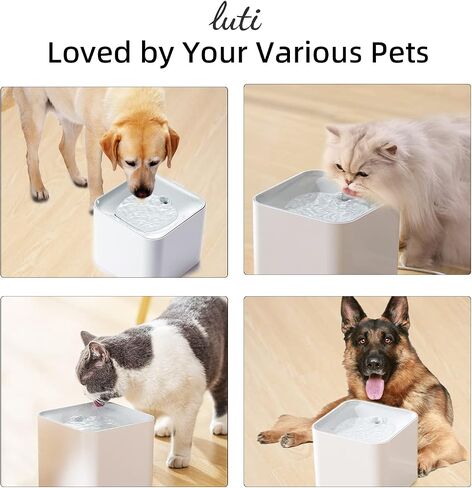 Cat Water Fountain Wireless,luti Pet Water Fountain for Cats Inside with Wireless Pump,Super Quiet Cat Water Fountain for Cats Kitty Dogs Multiple Pets 67oz/2L,Filters Included in Saudi Arabia