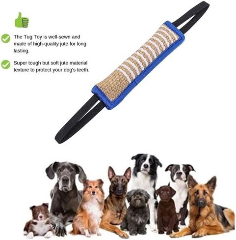 Dog Bite Training Set - Dog Bite Pillow Tug Toy, Dog Training Stick, Professional Training Equipment for K9, IPO, Schutzhund & Puppy Training (Blue) in Kuwait