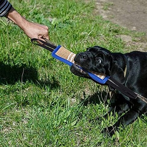 Dog Bite Training Set - Dog Bite Pillow Tug Toy, Dog Training Stick, Professional Training Equipment for K9, IPO, Schutzhund & Puppy Training (Blue) in Kuwait