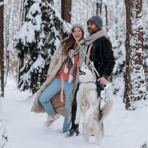ايجوجو لعبة القطب اللعوب للكلاب والحيوانات الاليفة قابلة للتمديد، عصا مغازلة مع حبلين قطنيين، لعبة تفاعلية للكلاب الصغيرة والمتوسطة والكبيرة للتدريب في الهواء الطلق واللعب والسحب in Kuwait
