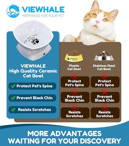 VIEWHALE Raised Cat Food Bowl(6 inches), Elevated Tilted Flat Cat Bowl, Anti-Vomit Cat Bowl for Indoor Cats - Ceramic Cat Feeder, Whisker-Friendly, Extra Wide Cat Bowl That Fits Cat's Face(White). in Kuwait