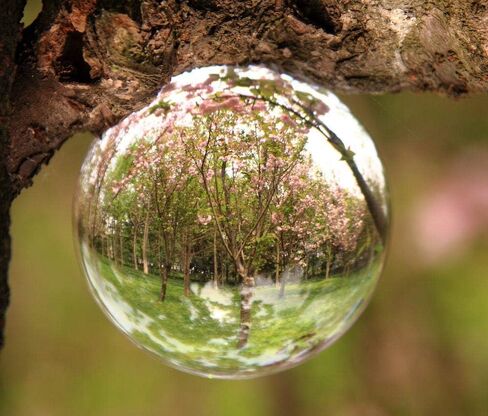 كرة كريستال شفافة بقطر 3 بوصة (80 مم) مع حامل كريستال K9 دعامة كريستال لفينج شوي ديفيشن لحفلات الزفاف والمكاتب in Kuwait