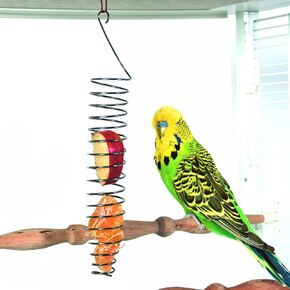 Keersi Bird Foraging Toy - Stainless Steel Fruit and Vegetable Feeder for Multiple Pets, 24x4.5cm in Kuwait