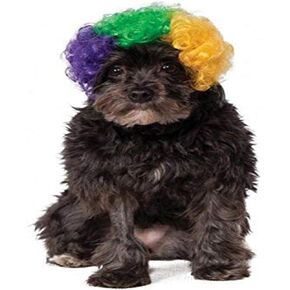 Rubie's Mardi Gras Afro Pet Wig, Medium/Large, Multicolor in Kuwait