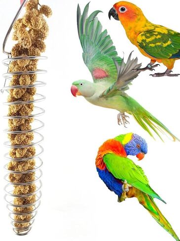 لعبة البحث عن الطعام للطيور من كيرسي - أداة تغذية الفواكه والخضروات من الفولاذ المقاوم للصدأ للحيوانات الأليفة المتعددة، 24 × 4.5 سم in Kuwait