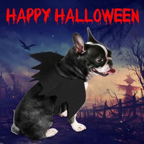 Ehdching القط زي هالوين الحيوانات الأليفة أجنحة الخفافيش القط الكلب الخفافيش زي، أزياء الهالوين للكلاب الصغيرة المتوسطة الكبيرة، أجنحة الكلب القط تأثيري زي الخفافيش لزينة حفلة الهالوين in Kuwait