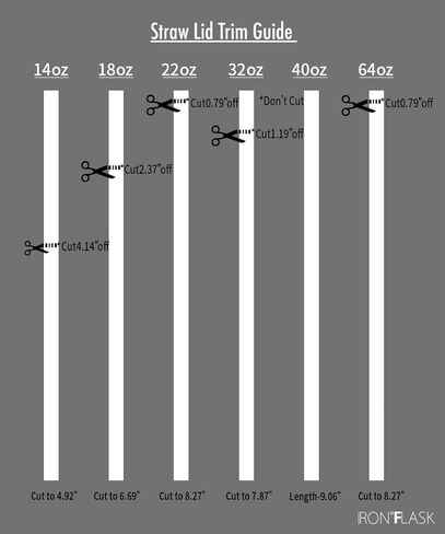 IRON °FLASK Flex Straw Lid for Wide Mouth Insulated Sports Water Bottles, Simple BPA Free, 2 Lids, 4 Straws, 2 Cleaning Brushes (Black) in Kuwait
