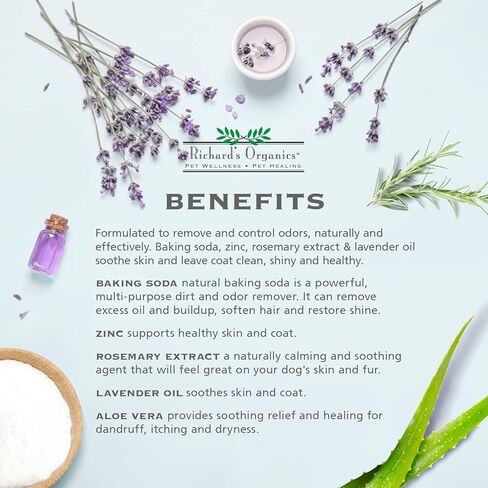 synergylabs Richard من Organics deodorizing شامبو مع الخبز Soda ، مصنوع من الزنك ، مستخلص نبات إكليل الجبل و أرجواني شاحب الزيت ؛ 12 أونصة, 12 Oz in Kuwait