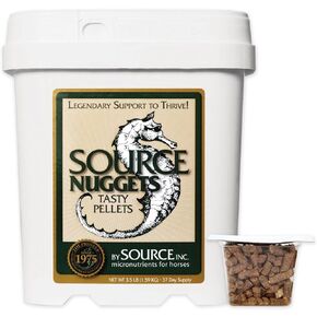 ناجتس المصدر in Kuwait