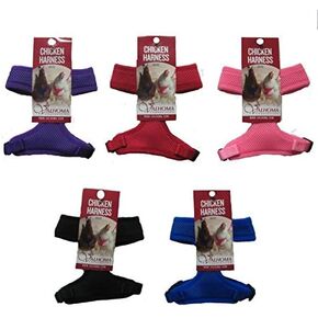 صدرية دجاج فالهوما "حجم الدجاجة" - بالإضافة إلى مقود دجاج مطابق بطول 6 أقدام in Kuwait