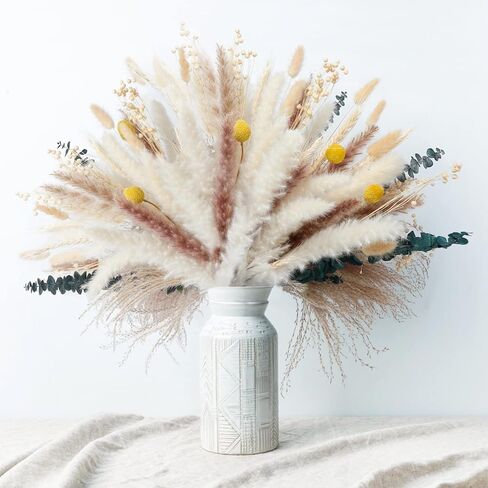 SOSMAR Pampas Grass، 100 قطعة من زهور النباتات الطبيعية المجففة، نبات عشب Pampas، ترتيب زهور بوهو، زهور مجففة رقيق لديكور مزرعة الربيع، ديكور طاولة الزهور، ديكور زفاف طبيعي in Kuwait