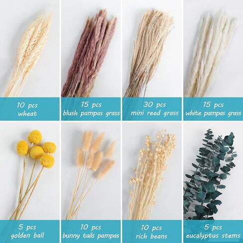 SOSMAR Pampas Grass، 100 قطعة من زهور النباتات الطبيعية المجففة، نبات عشب Pampas، ترتيب زهور بوهو، زهور مجففة رقيق لديكور مزرعة الربيع، ديكور طاولة الزهور، ديكور زفاف طبيعي in Kuwait