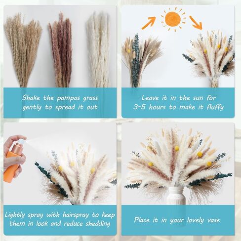 SOSMAR Pampas Grass، 100 قطعة من زهور النباتات الطبيعية المجففة، نبات عشب Pampas، ترتيب زهور بوهو، زهور مجففة رقيق لديكور مزرعة الربيع، ديكور طاولة الزهور، ديكور زفاف طبيعي in Kuwait