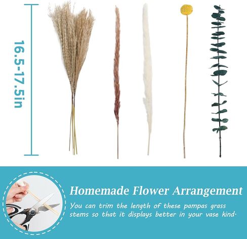 SOSMAR Pampas Grass، 100 قطعة من زهور النباتات الطبيعية المجففة، نبات عشب Pampas، ترتيب زهور بوهو، زهور مجففة رقيق لديكور مزرعة الربيع، ديكور طاولة الزهور، ديكور زفاف طبيعي in Kuwait