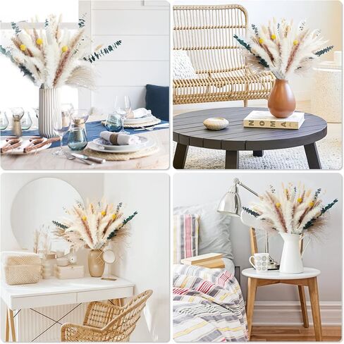 SOSMAR Pampas Grass، 100 قطعة من زهور النباتات الطبيعية المجففة، نبات عشب Pampas، ترتيب زهور بوهو، زهور مجففة رقيق لديكور مزرعة الربيع، ديكور طاولة الزهور، ديكور زفاف طبيعي in Kuwait