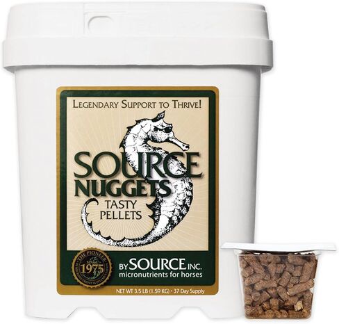 ناجتس المصدر in Kuwait