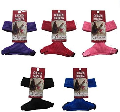 صدرية دجاج فالهوما "حجم الدجاجة" - بالإضافة إلى مقود دجاج مطابق بطول 6 أقدام in Kuwait