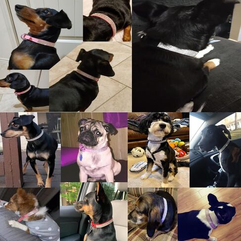 Pink Rhinestone Dog Collar XS, 2-Pack Bling Cat Collar Soft Suede Glitter Diamond Jewelry Crystal Girl Puppy Collar with Bow for XXS XS Small Medium Female Dogs & Kitten (XSmall) in Kuwait