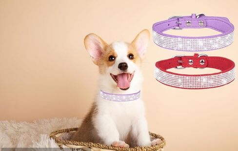 Pink Rhinestone Dog Collar XS, 2-Pack Bling Cat Collar Soft Suede Glitter Diamond Jewelry Crystal Girl Puppy Collar with Bow for XXS XS Small Medium Female Dogs & Kitten (XSmall) in Kuwait